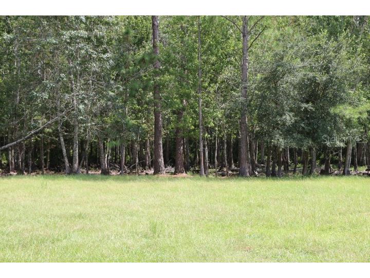 Green Swamp Road Clermont FL 34714 O6339581 image8