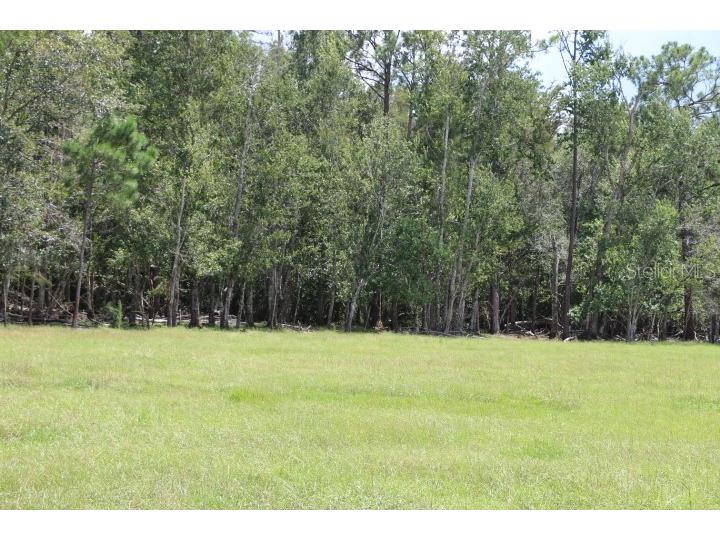 Green Swamp Road Clermont FL 34714 O6339581 image9