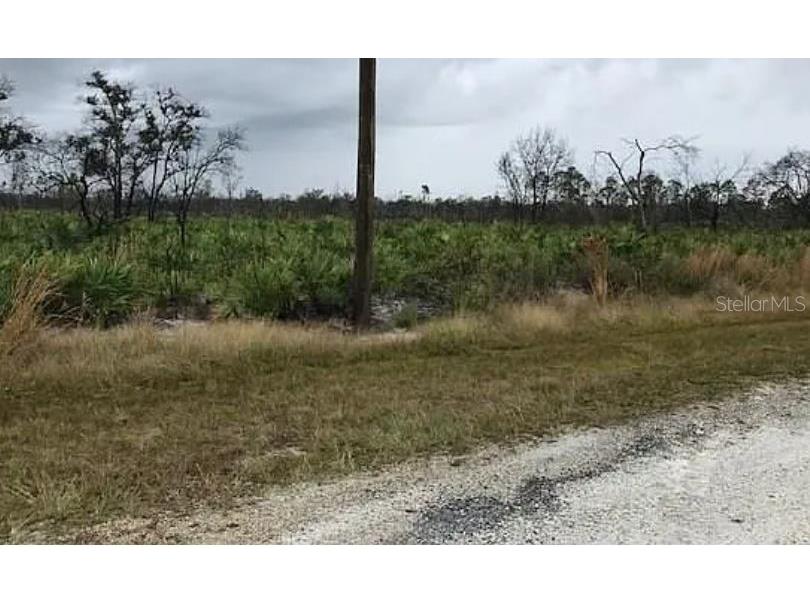 Green Way Indian Lake Estates FL 33855 O6272883 image2