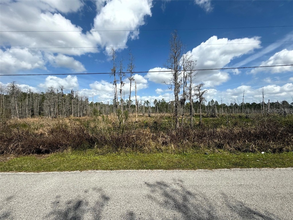 Green Willow Run #LOT 745 Wesley Chapel FL 33544 TB8357611 image1