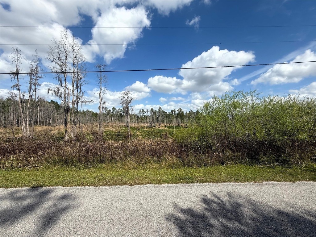 Green Willow Run #LOT 746 Wesley Chapel FL 33544 TB8357659 image1