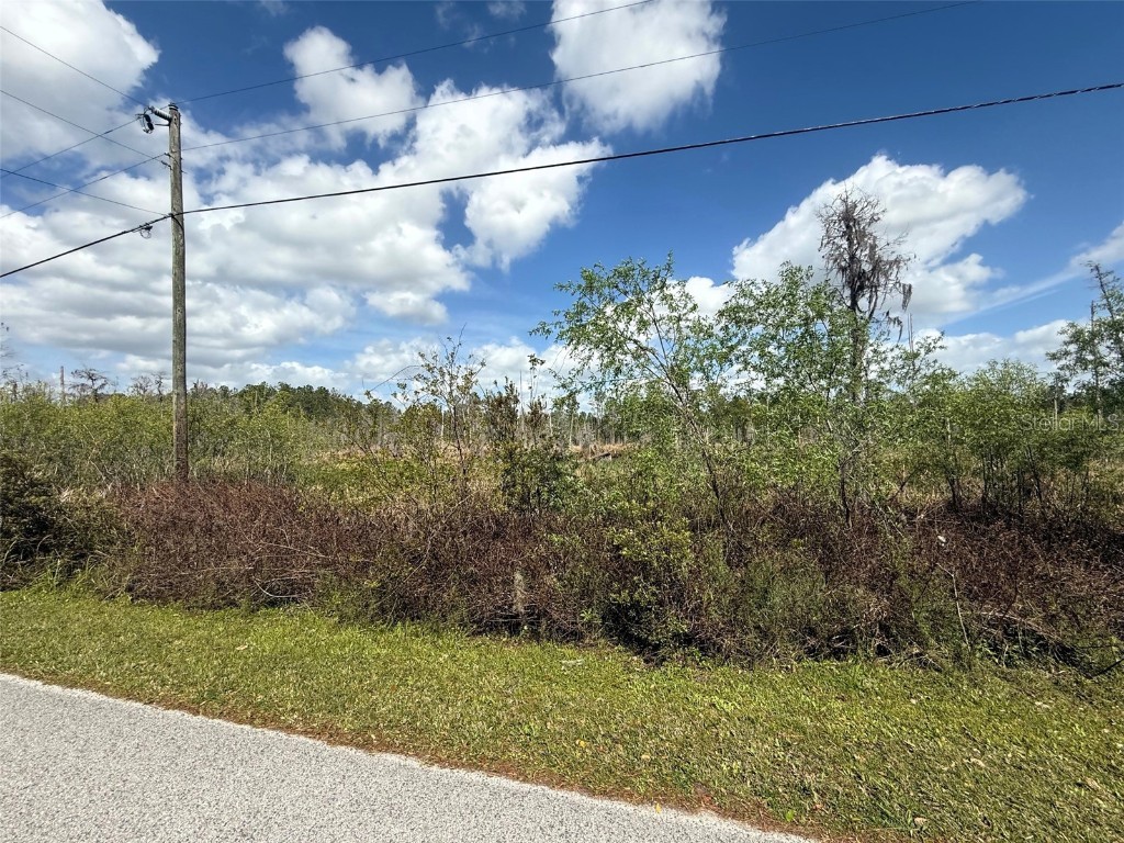 Green Willow Run #LOT 747 Wesley Chapel FL 33544 TB8359175 image1
