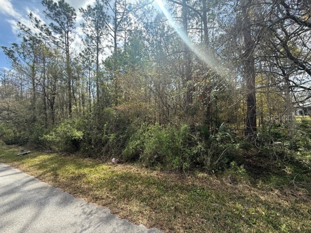 Green Willow Run #LOT 759 Wesley Chapel FL 33544 TB8359192 image1