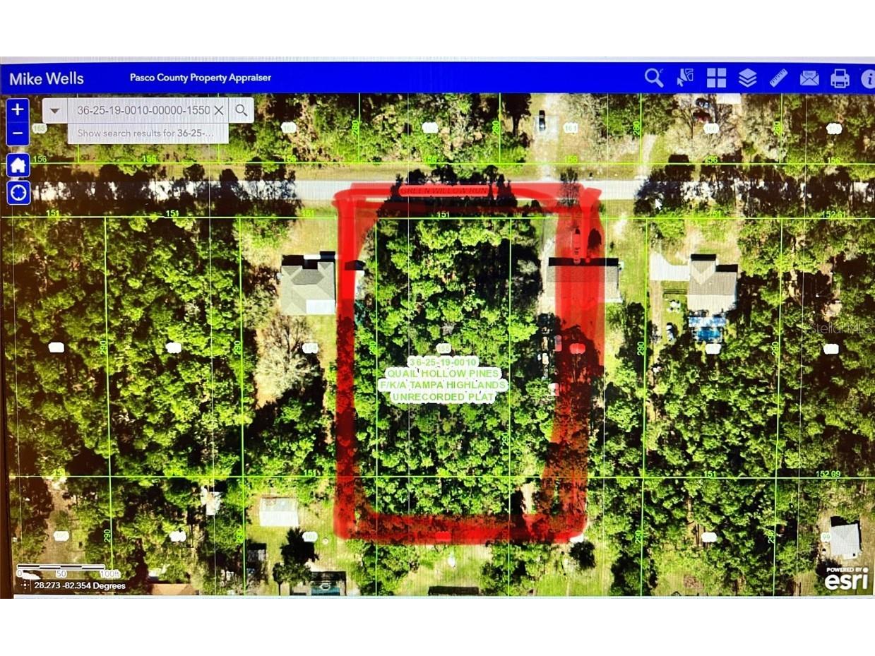 Green Willow Run Wesley Chapel FL 33544 W7863441 image1