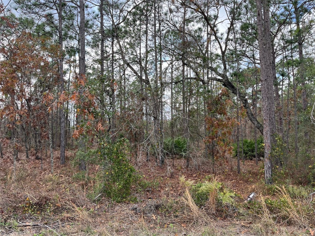 Greenback Road #14 Weeki Wachee FL 34614 OK223570 image1