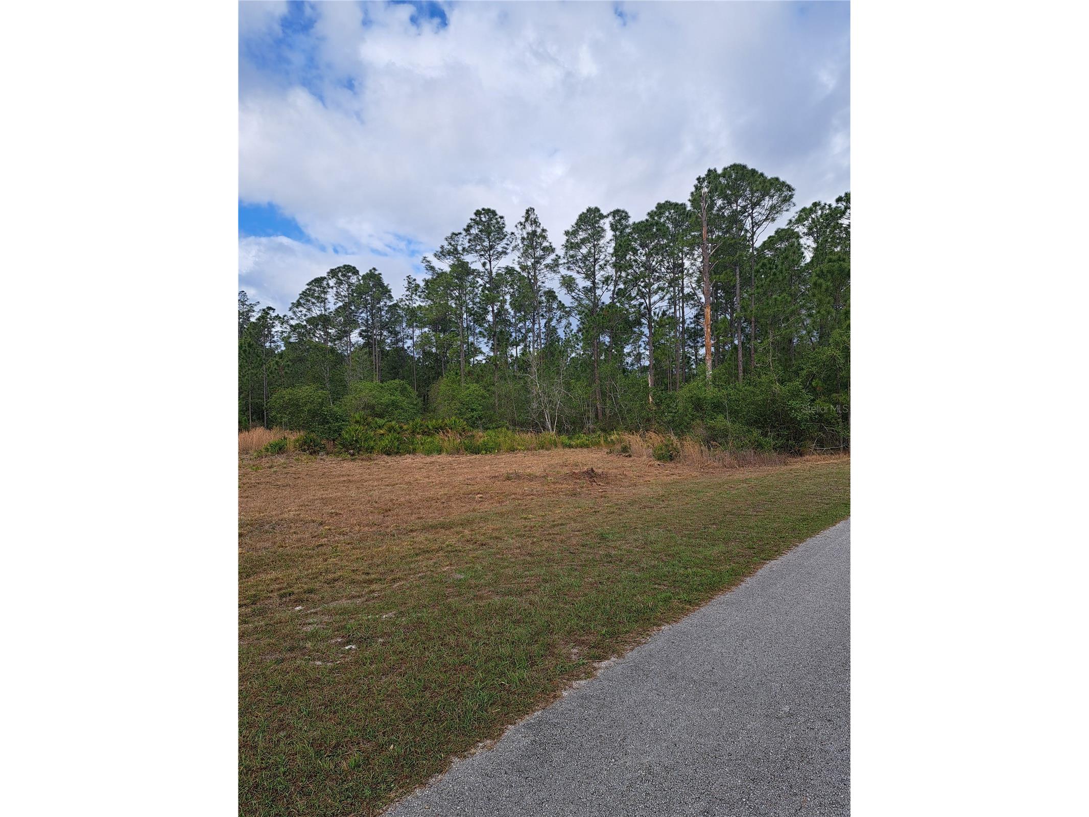 Greengrove Boulevard Clermont FL 34714 G5109665 image2