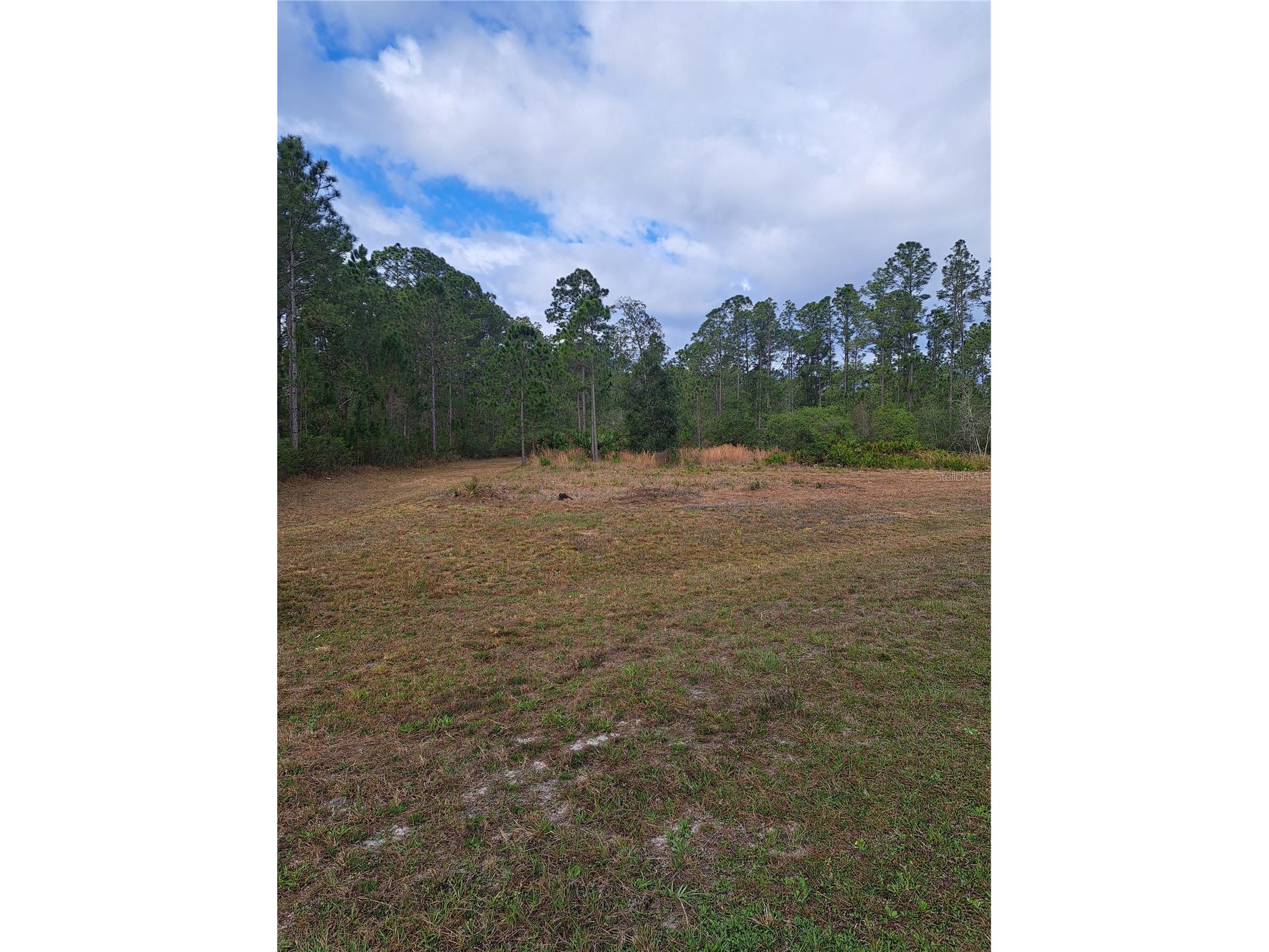 Greengrove Boulevard Clermont FL 34714 G5109665 image3