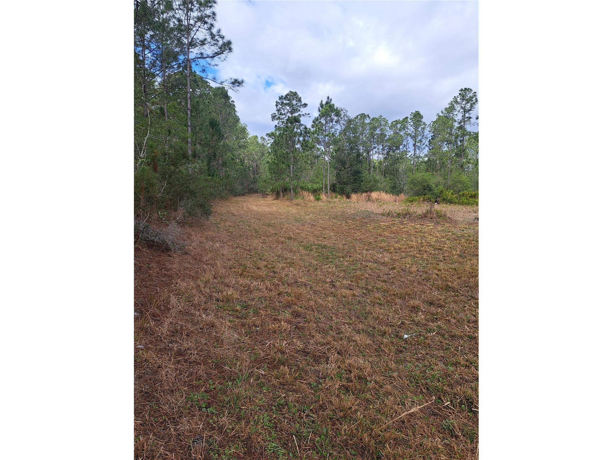 Greengrove Boulevard Clermont FL 34714 G5109665 image4