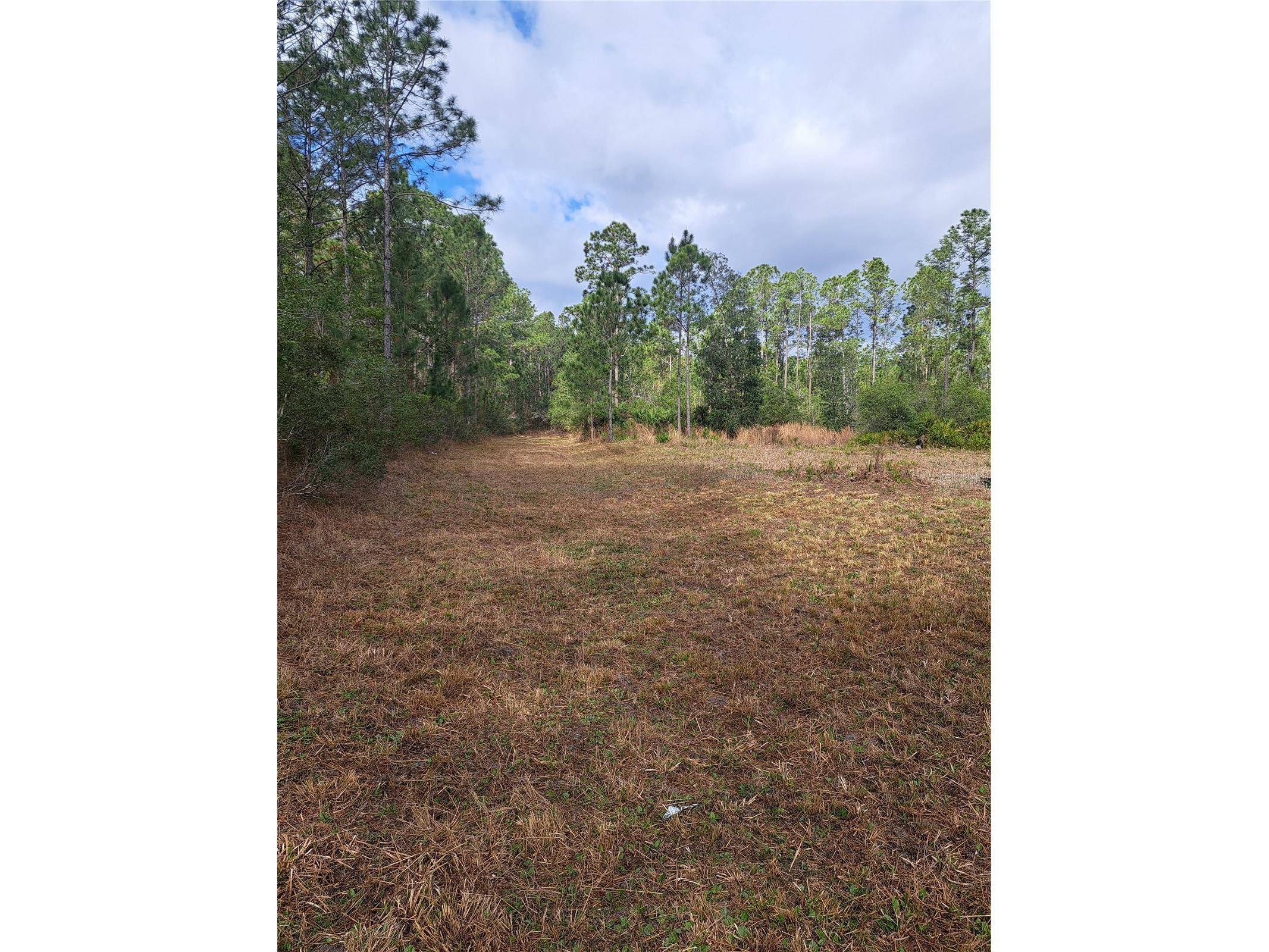 Greengrove Boulevard Clermont FL 34714 G5109665 image5