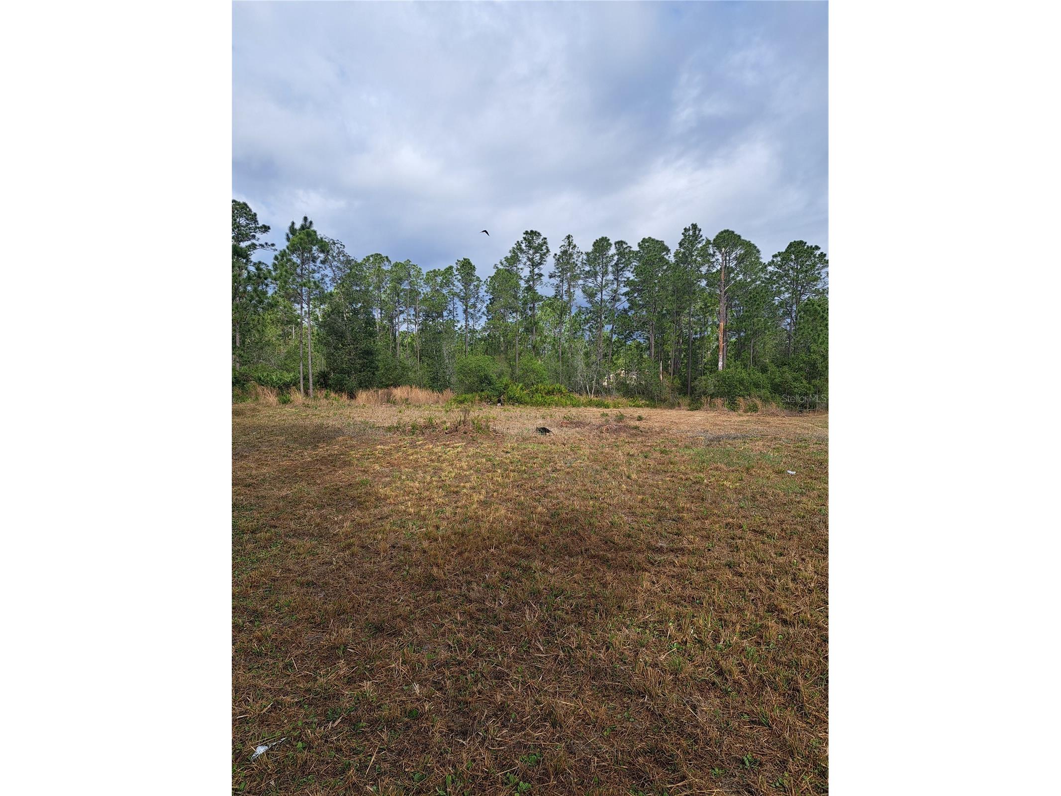 Greengrove Boulevard Clermont FL 34714 G5109665 image6