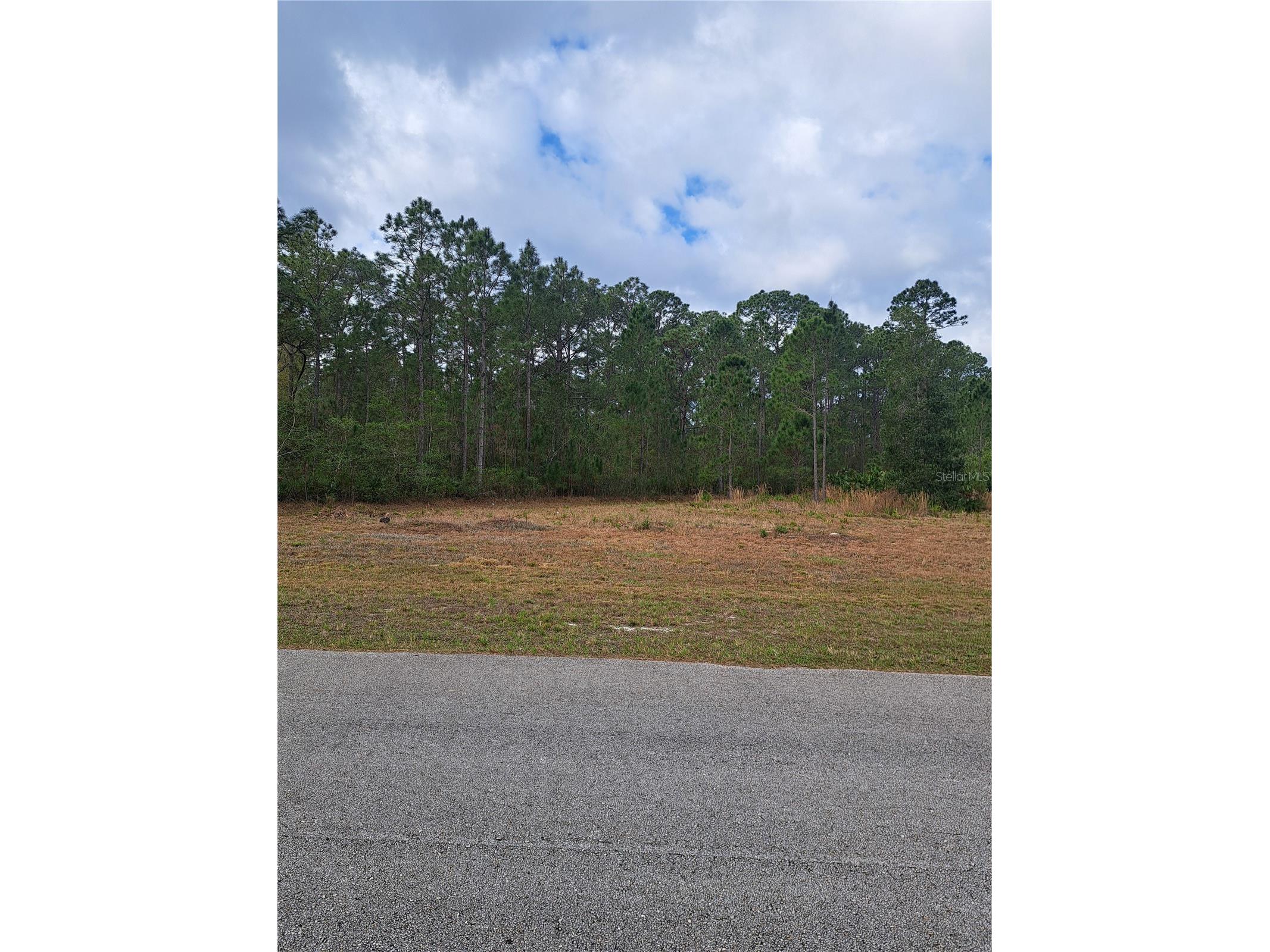 Greengrove Boulevard Clermont FL 34714 G5109665 image7