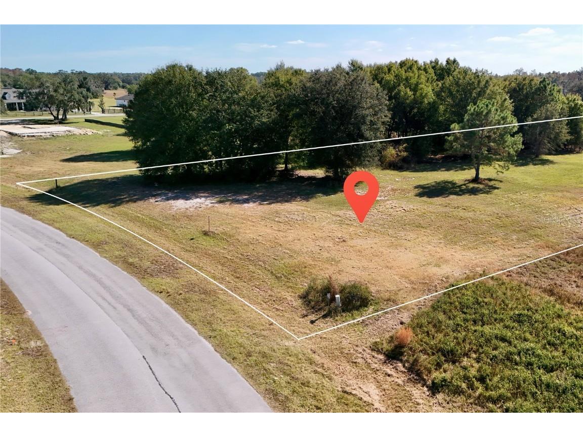 Greengrove Boulevard Clermont FL 34714 O6361241 image4