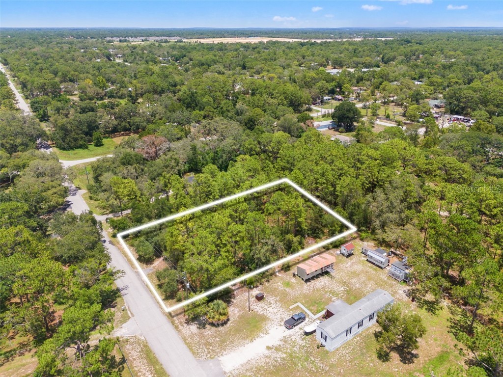 Greensboro Street Spring Hill FL 34610 O6322731 image3