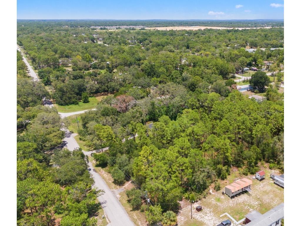 Greensboro Street Spring Hill FL 34610 O6322731 image4