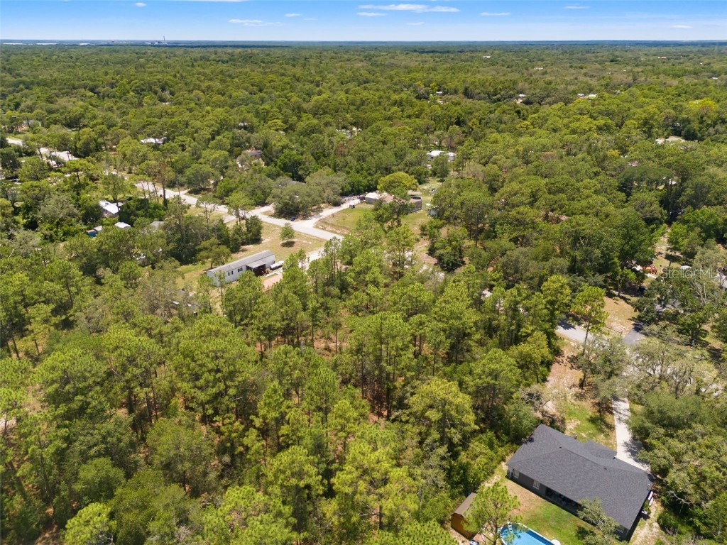 Greensboro Street Spring Hill FL 34610 O6322731 image5