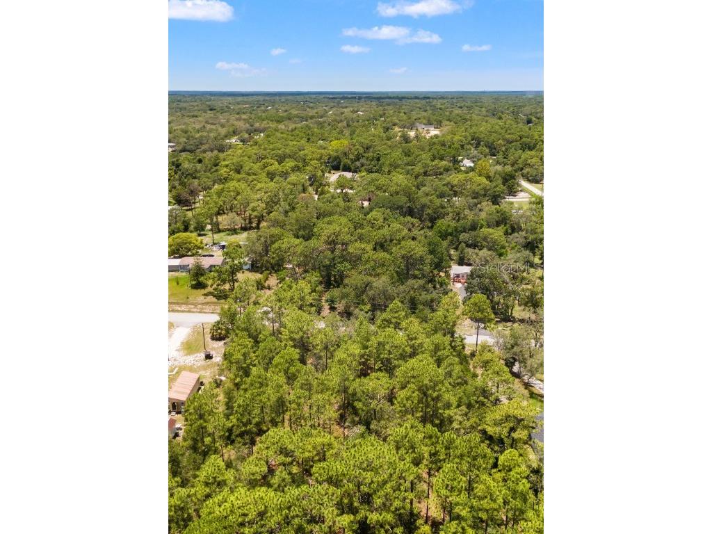 Greensboro Street Spring Hill FL 34610 O6322731 image6