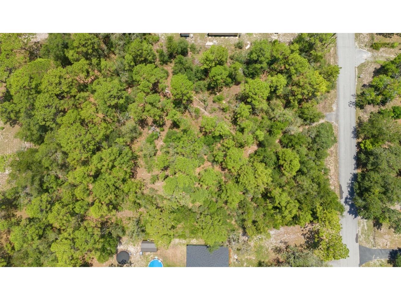 Greensboro Street Spring Hill FL 34610 O6322731 image7