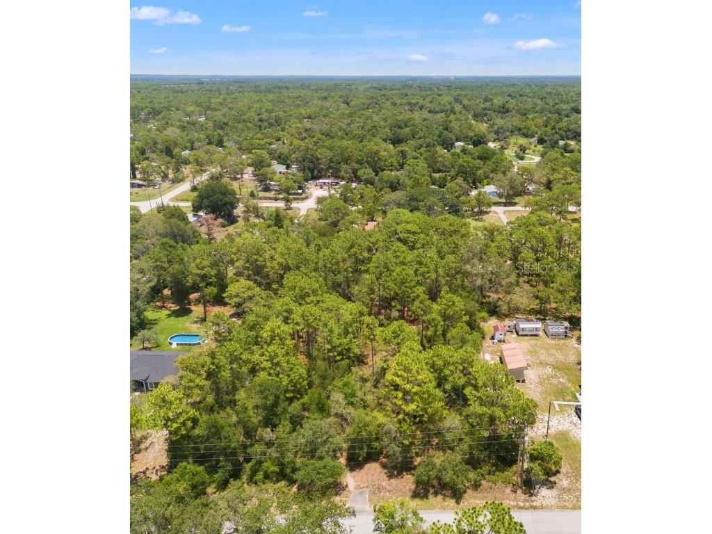 Greensboro Street Spring Hill FL 34610 O6322731 image8