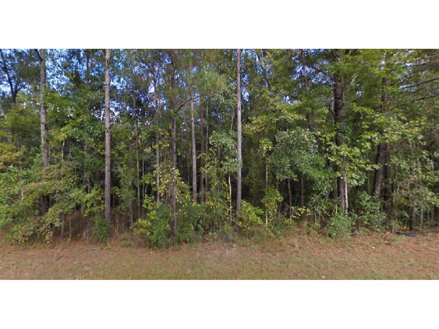 Greenview Drive Chipley FL 32428 O6069100 image1