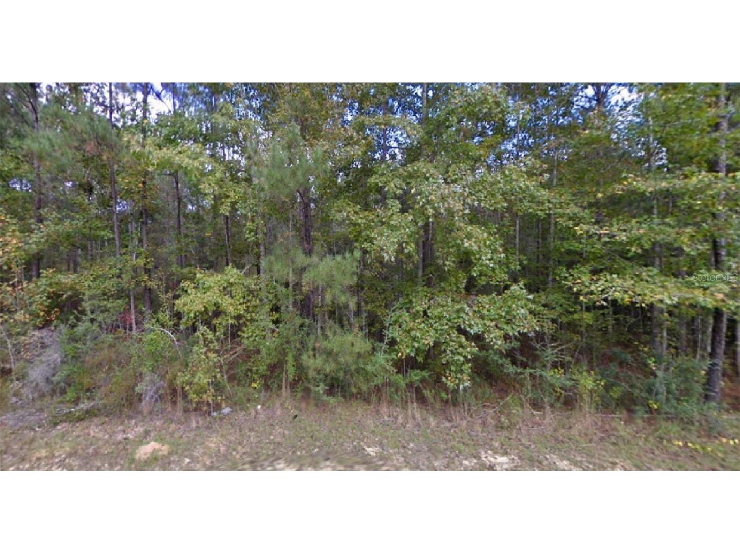 Greenview Drive Chipley FL 32428 O6069110 image1