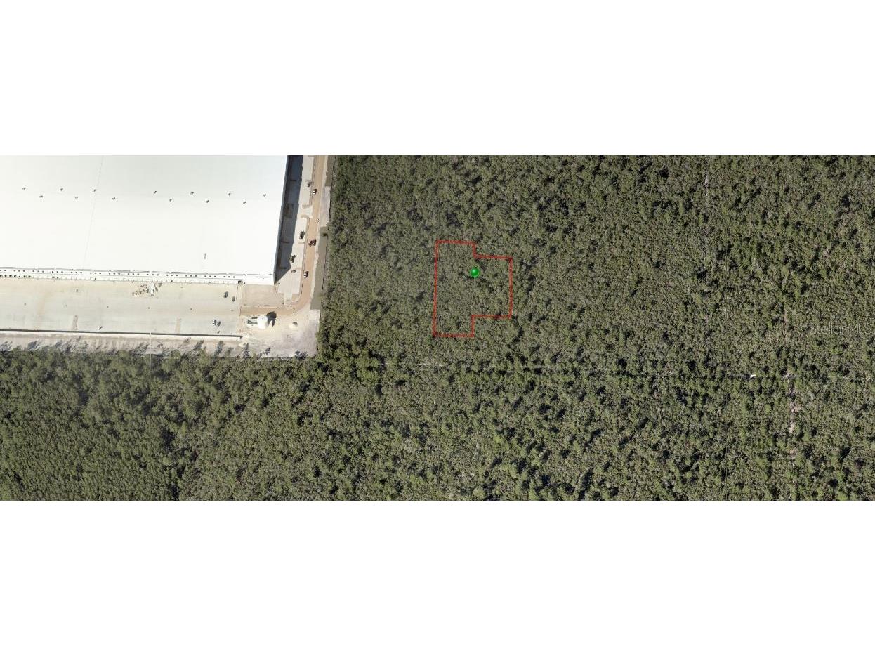 Greenwood Paper Avenue Deltona FL 32725 T3518751 image1