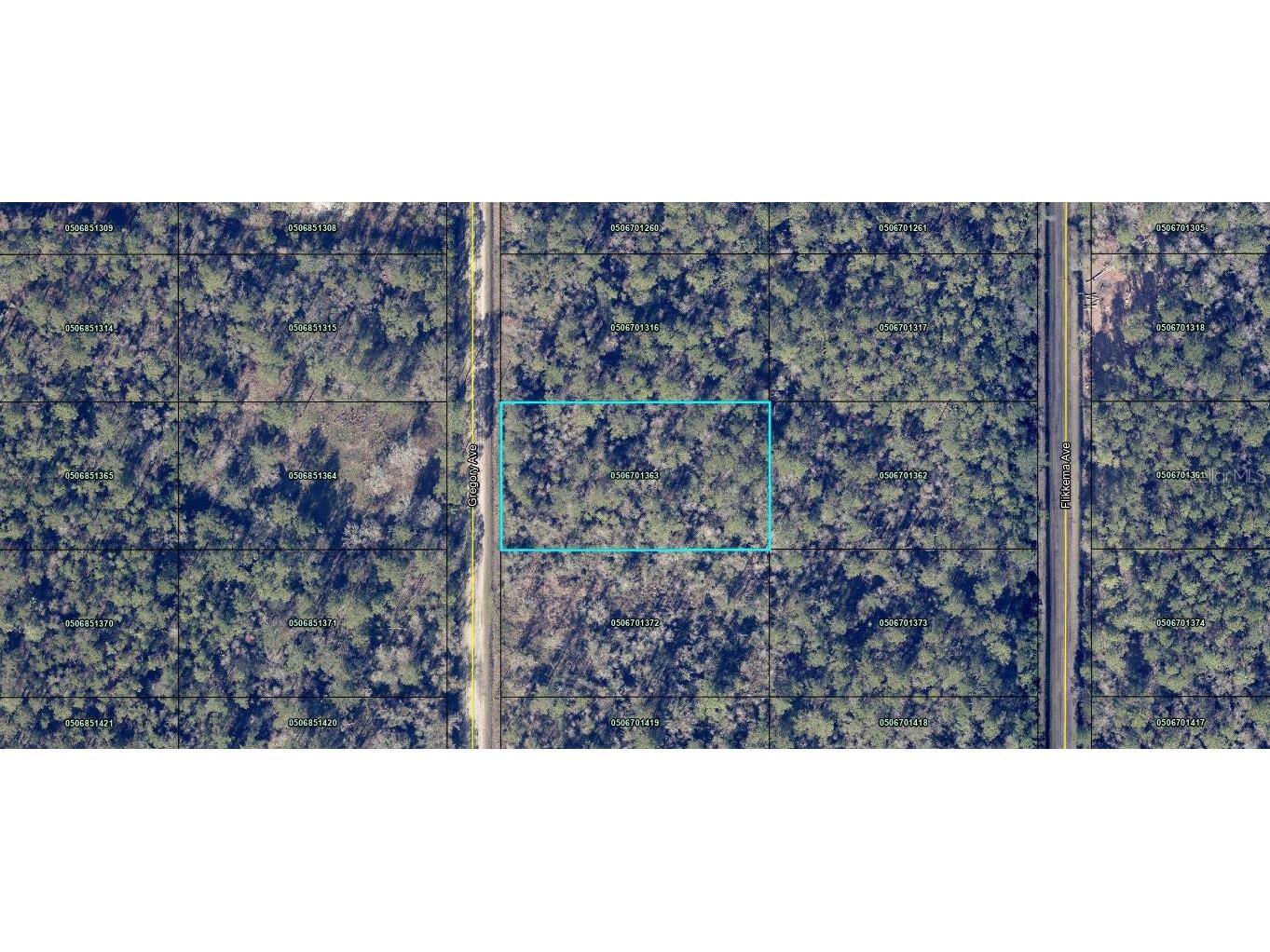 Gregory Ave Hastings FL 32145 FC306594 image1