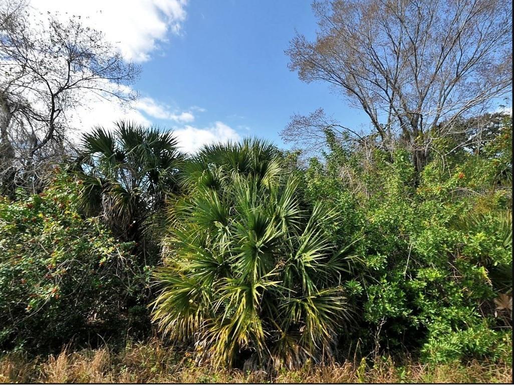 Grenard Circle North Port FL 34288 N6138488 image1