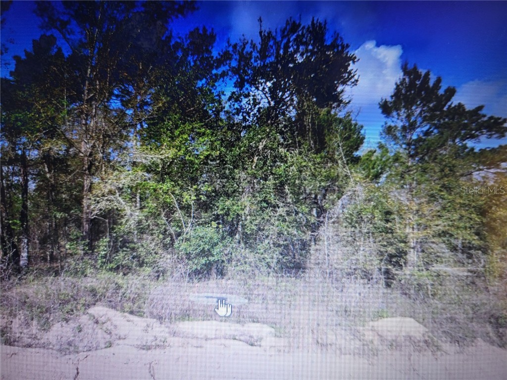 Grey Interlachen FL 32148 OM705076 image1