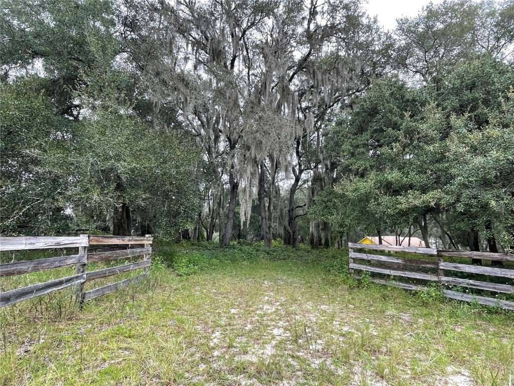 Griffin Avenue Lady Lake FL 32159 G5074002 image1