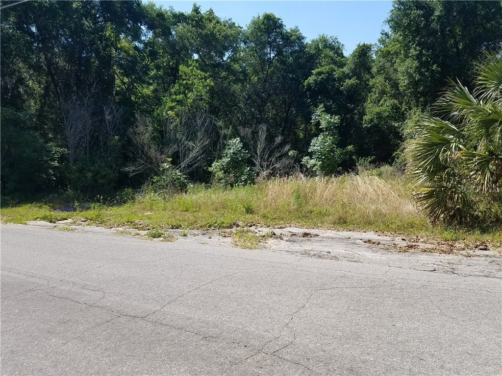 Griffin View Drive Lady Lake FL 32159 G5039323 image1