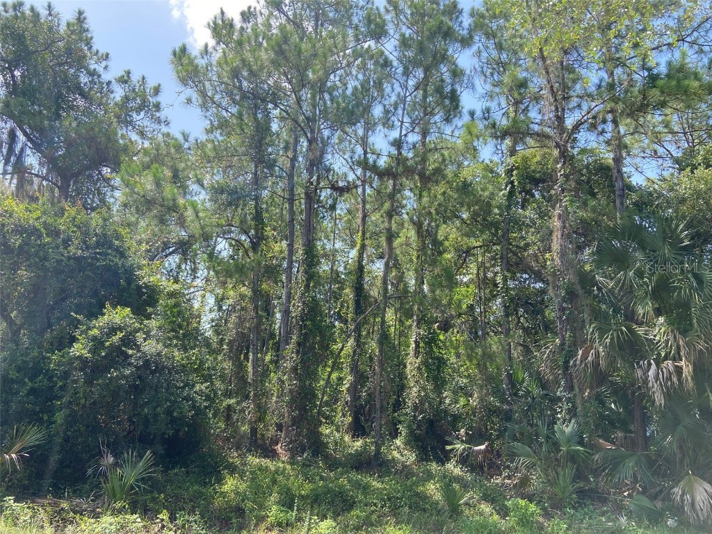 Griggs Avenue North Port FL 34291 NS1080138 image1