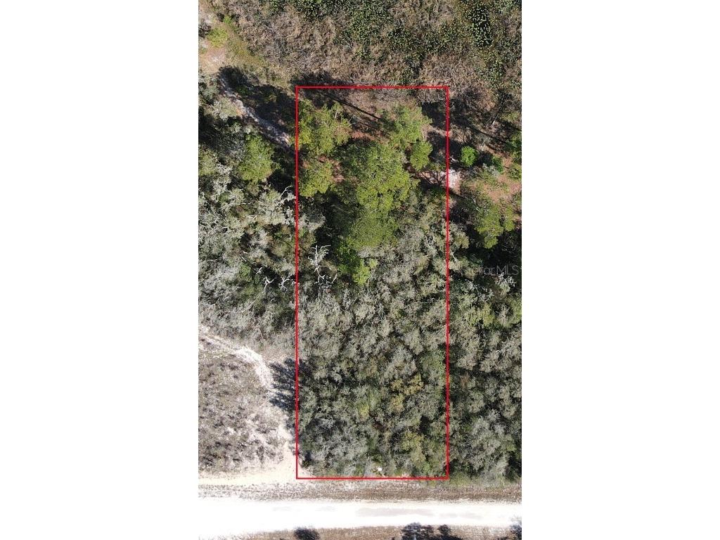 Grindstone Drive Webster FL 33597 T3435326 image1