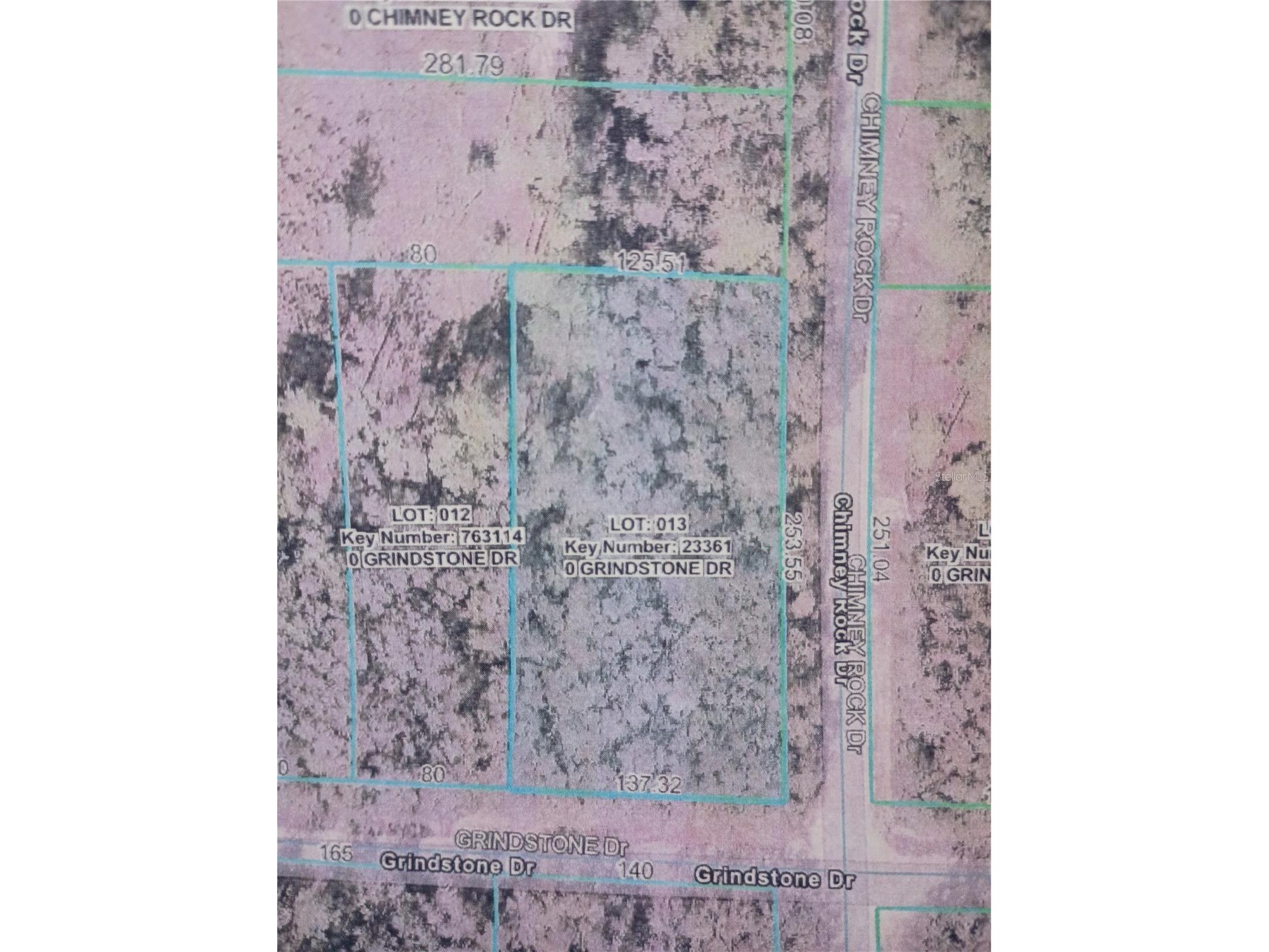 Grindstone Drive Webster FL 33597 TB8470975 image1