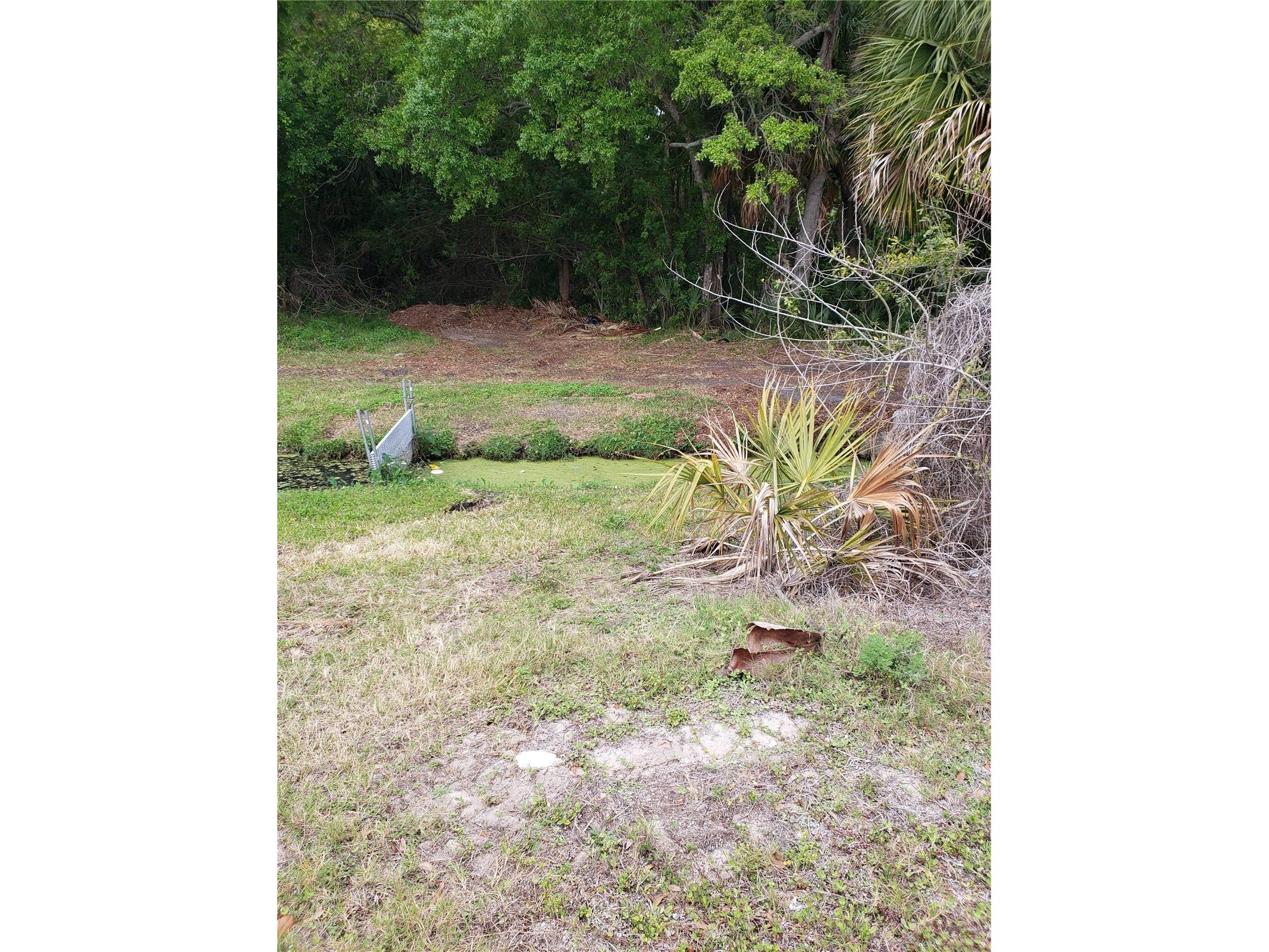 Grosse Avenue Tarpon Springs FL 34689 TB8492360 image1