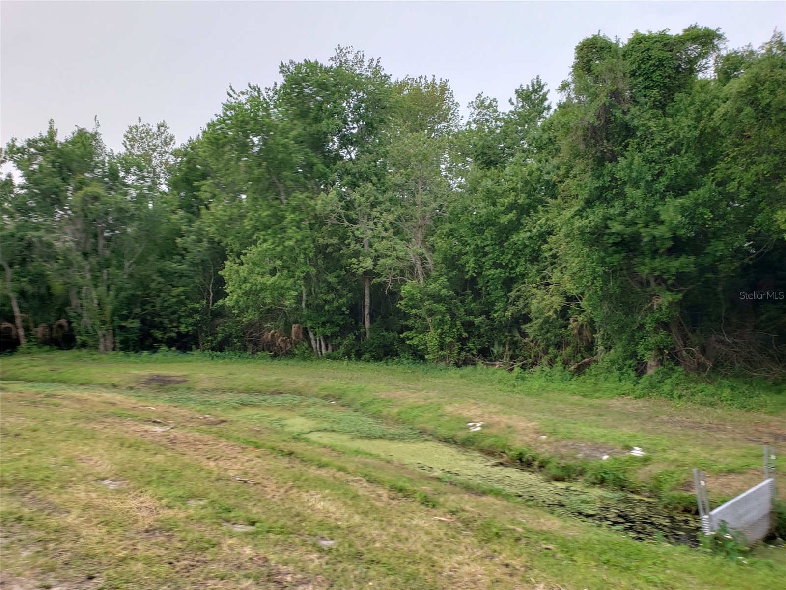 Grosse Avenue Tarpon Springs FL 34689 TB8492360 image10