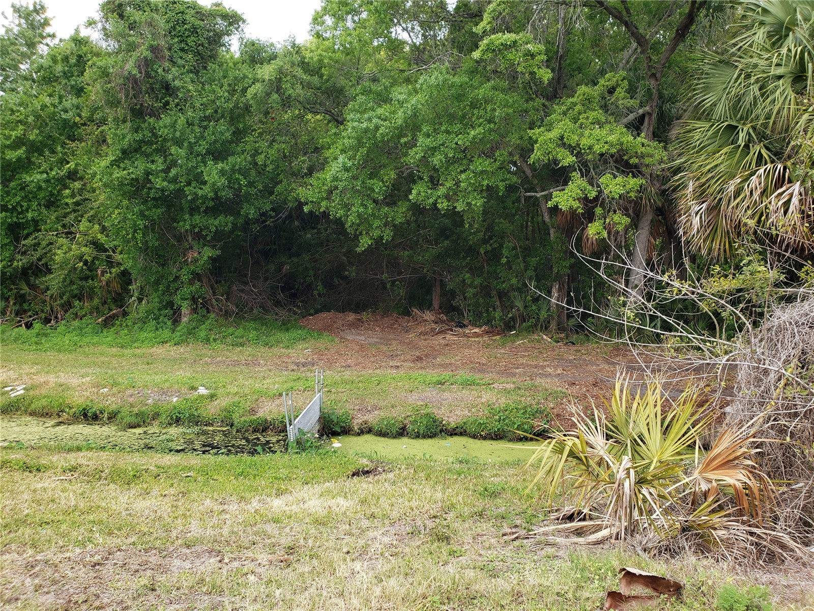 Grosse Avenue Tarpon Springs FL 34689 TB8492360 image2