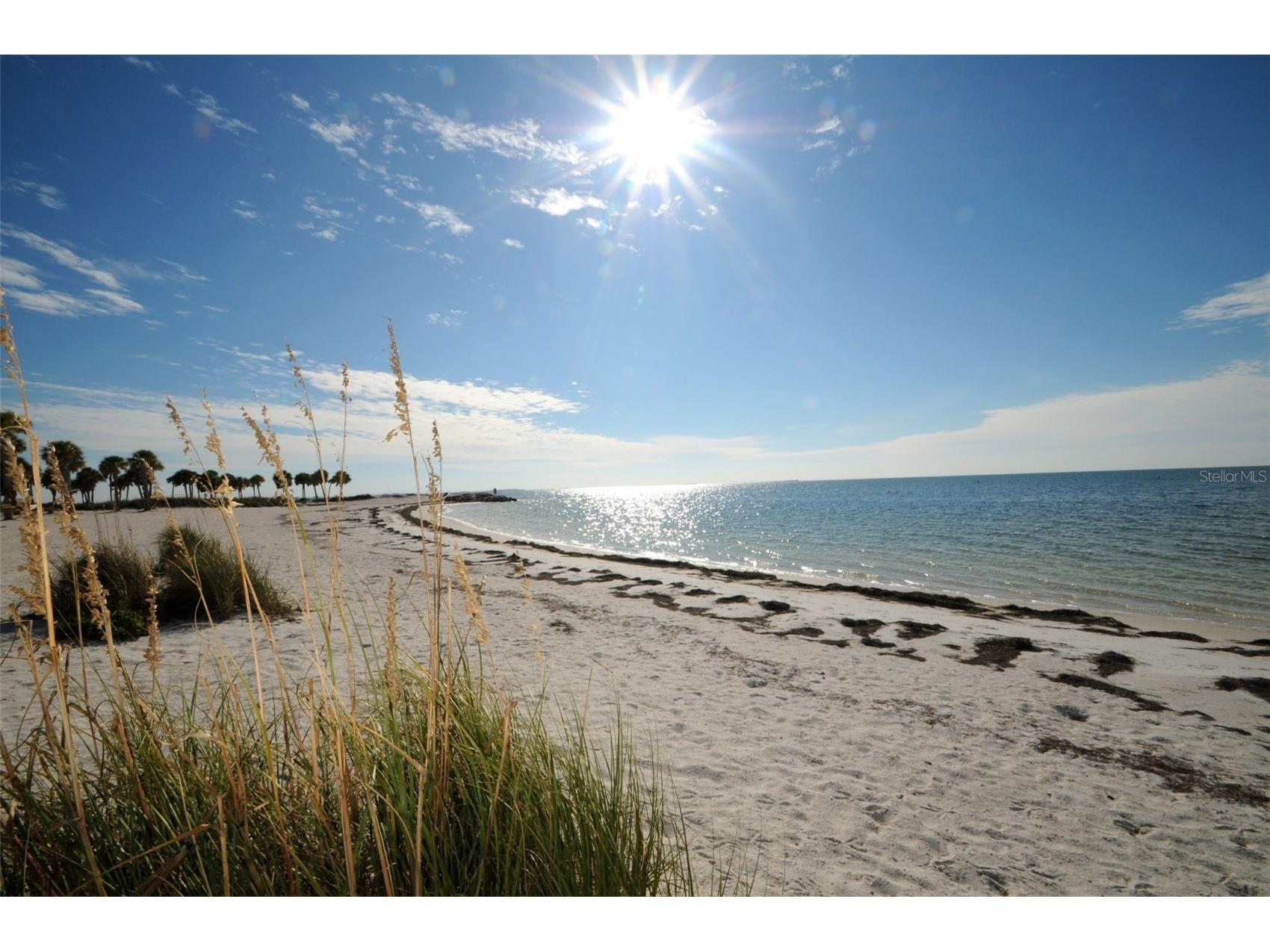 Grosse Avenue Tarpon Springs FL 34689 TB8492360 image23