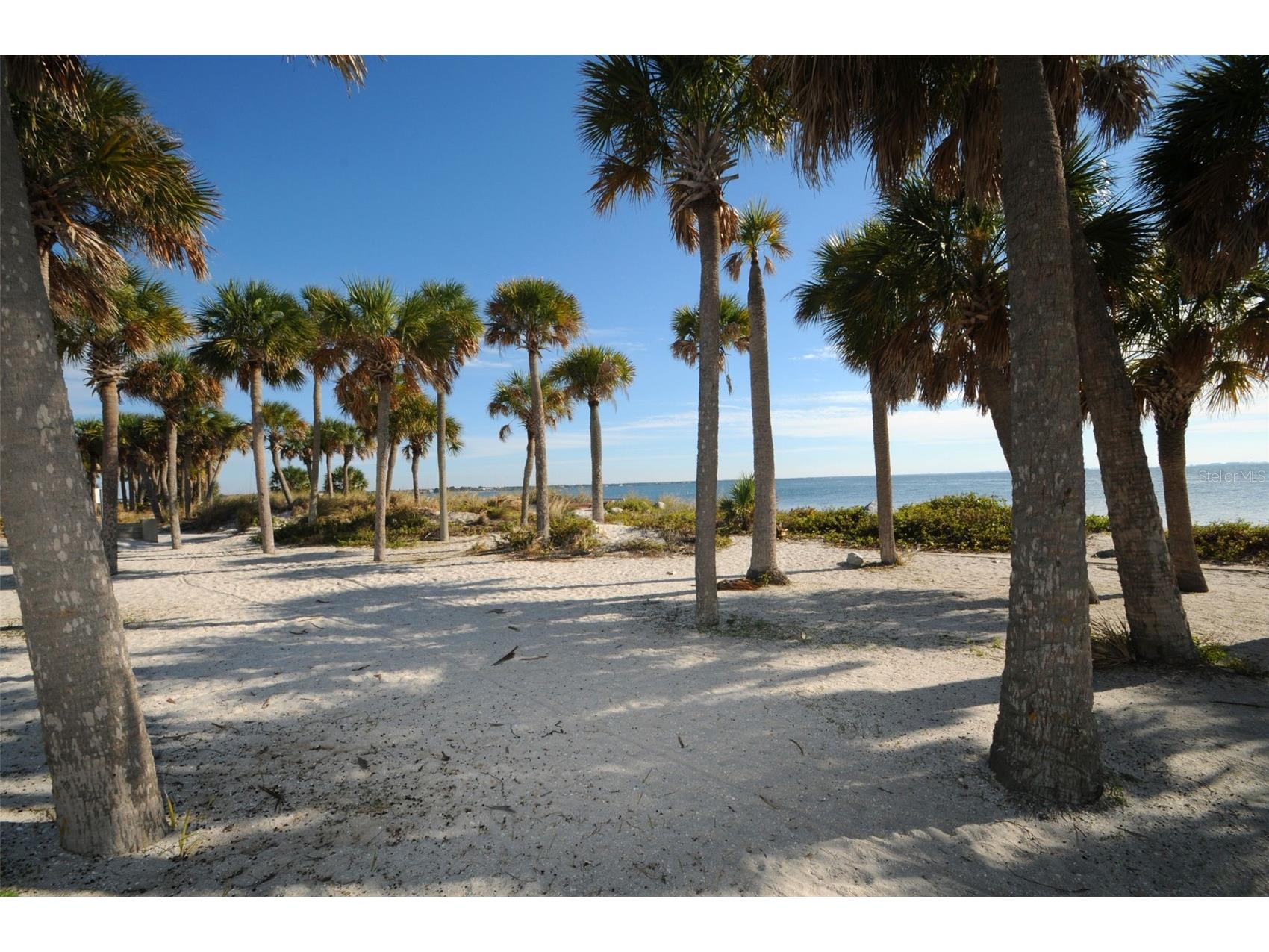Grosse Avenue Tarpon Springs FL 34689 TB8492360 image26
