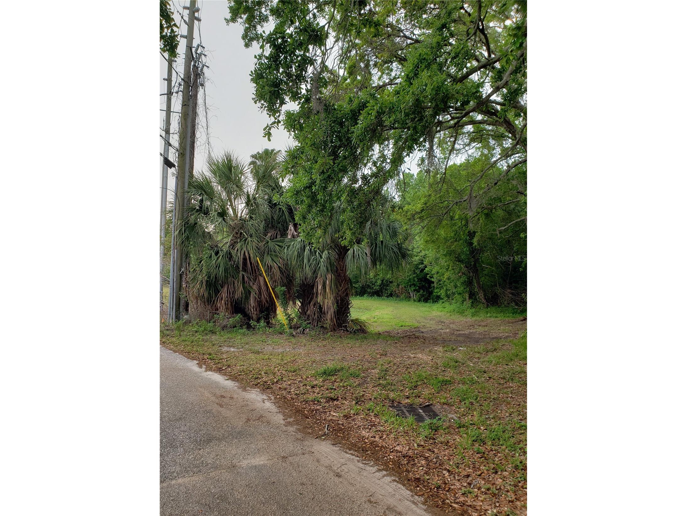 Grosse Avenue Tarpon Springs FL 34689 TB8492360 image3