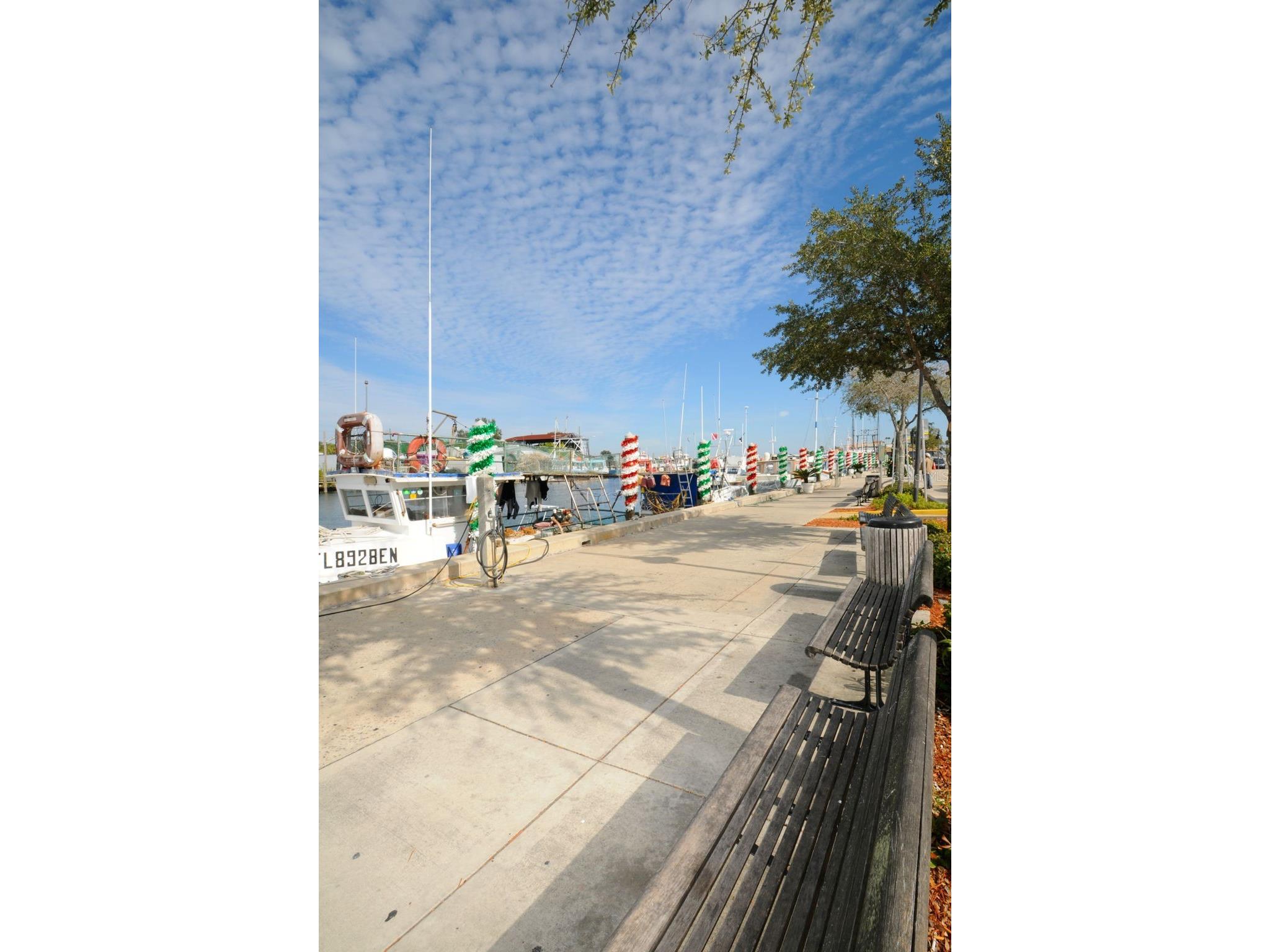 Grosse Avenue Tarpon Springs FL 34689 TB8492360 image35