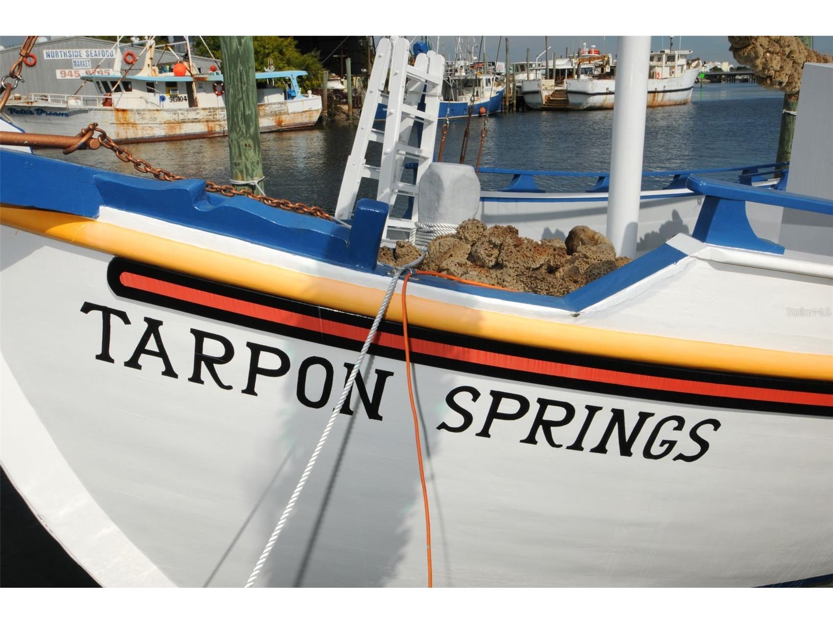 Grosse Avenue Tarpon Springs FL 34689 TB8492360 image36