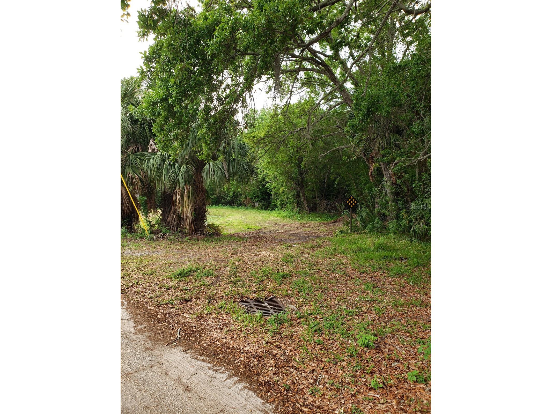 Grosse Avenue Tarpon Springs FL 34689 TB8492360 image4