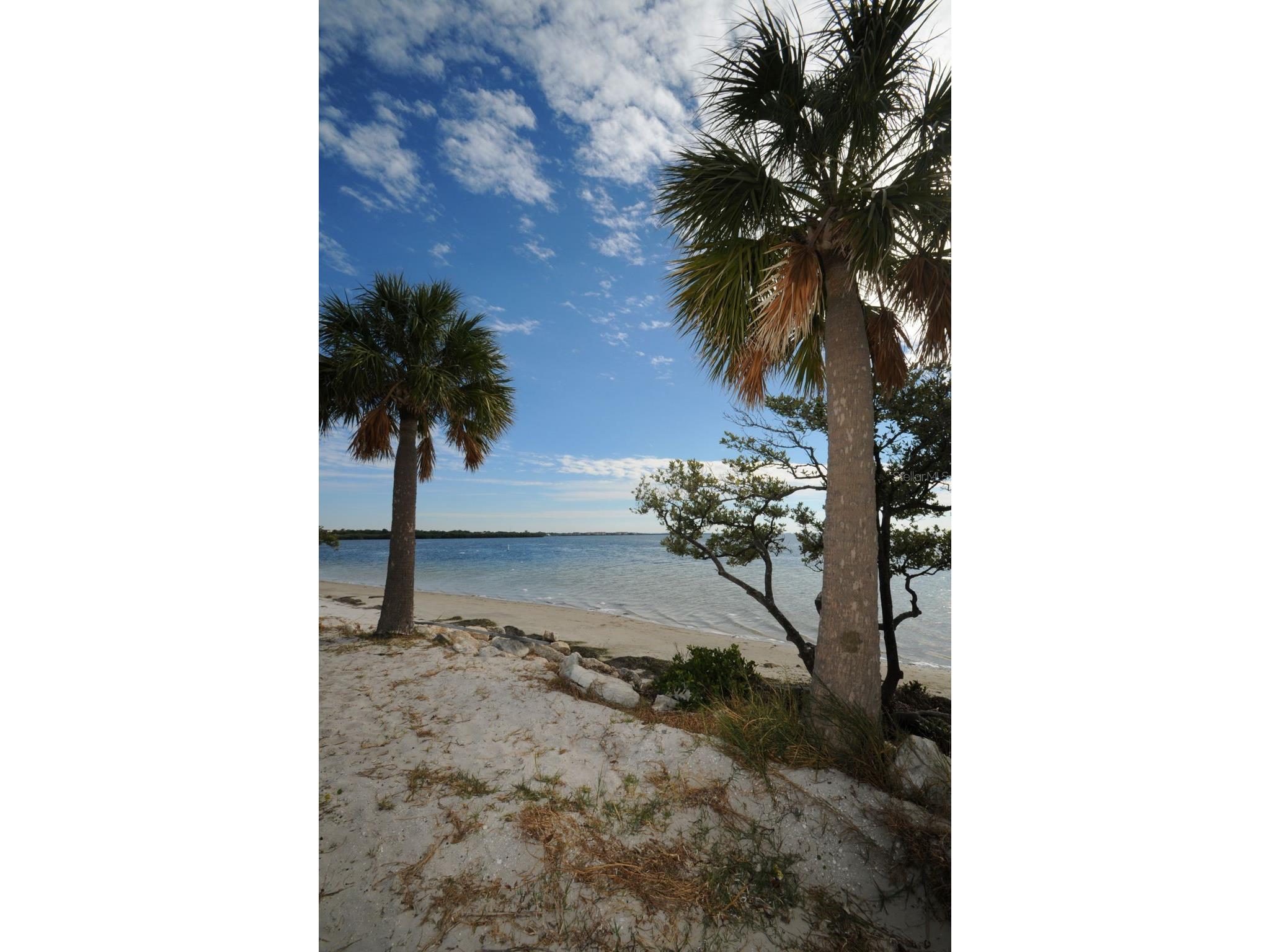 Grosse Avenue Tarpon Springs FL 34689 TB8492360 image47