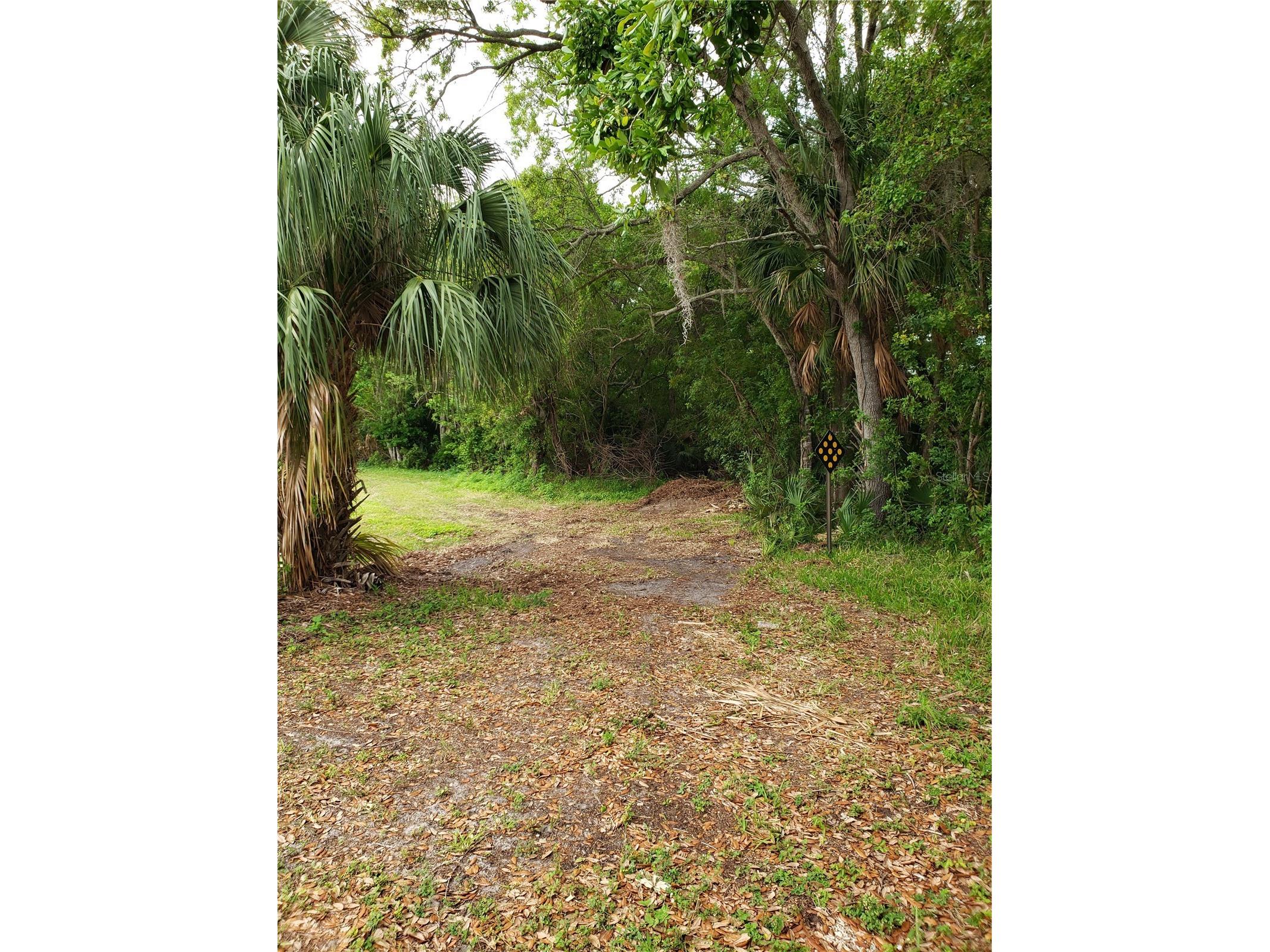 Grosse Avenue Tarpon Springs FL 34689 TB8492360 image5