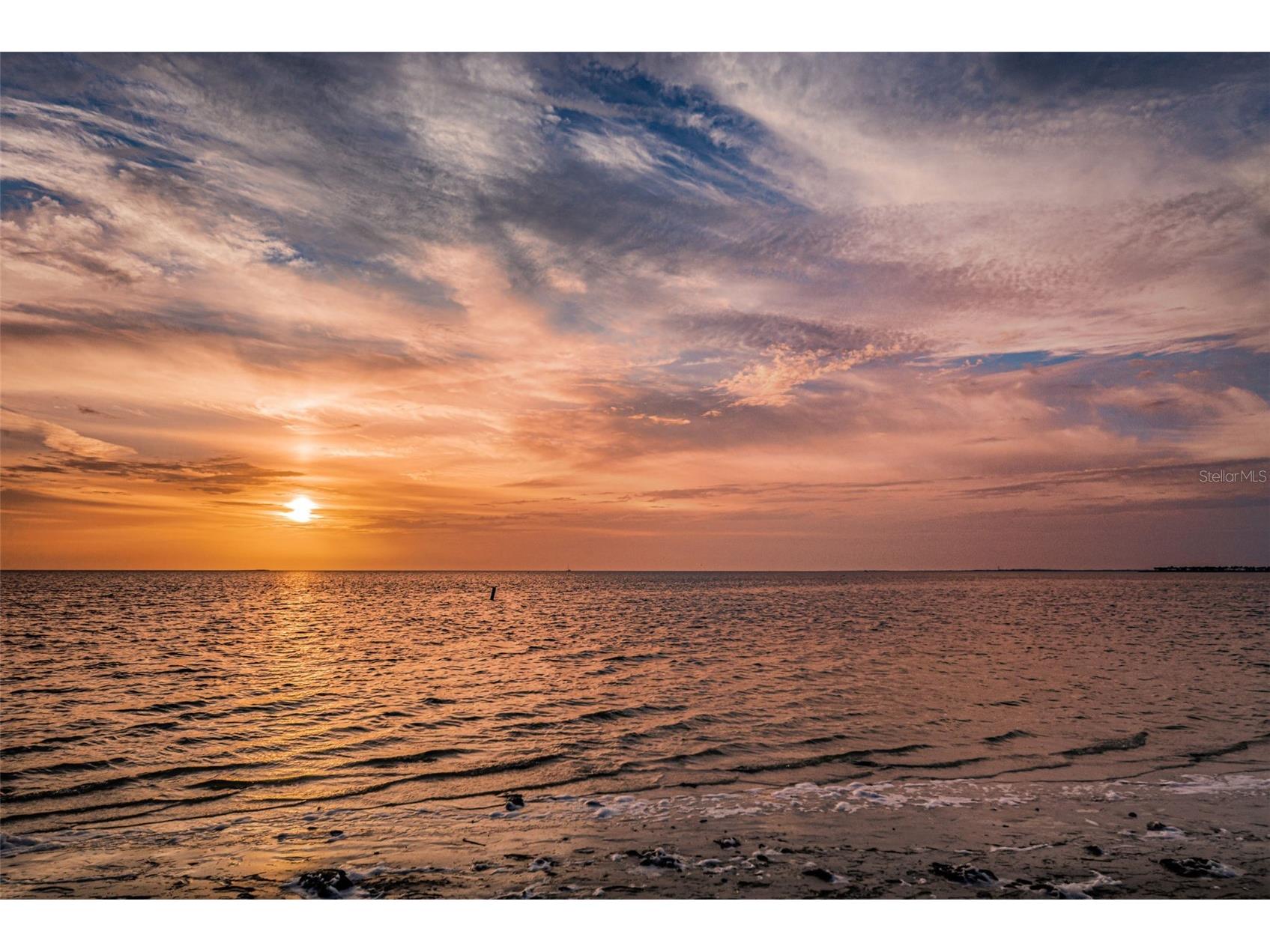 Grosse Avenue Tarpon Springs FL 34689 TB8492360 image52