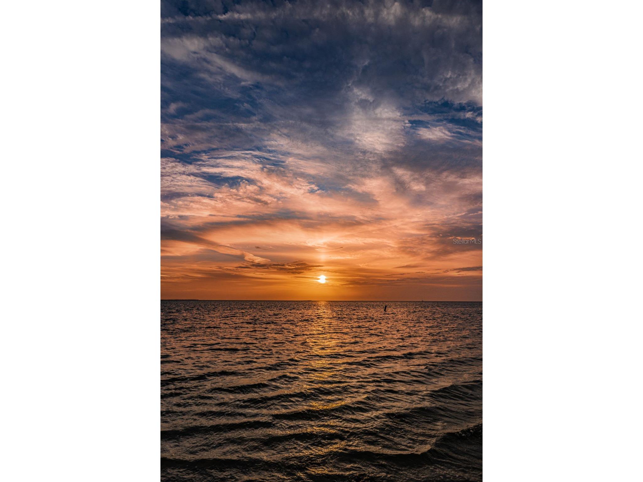 Grosse Avenue Tarpon Springs FL 34689 TB8492360 image53