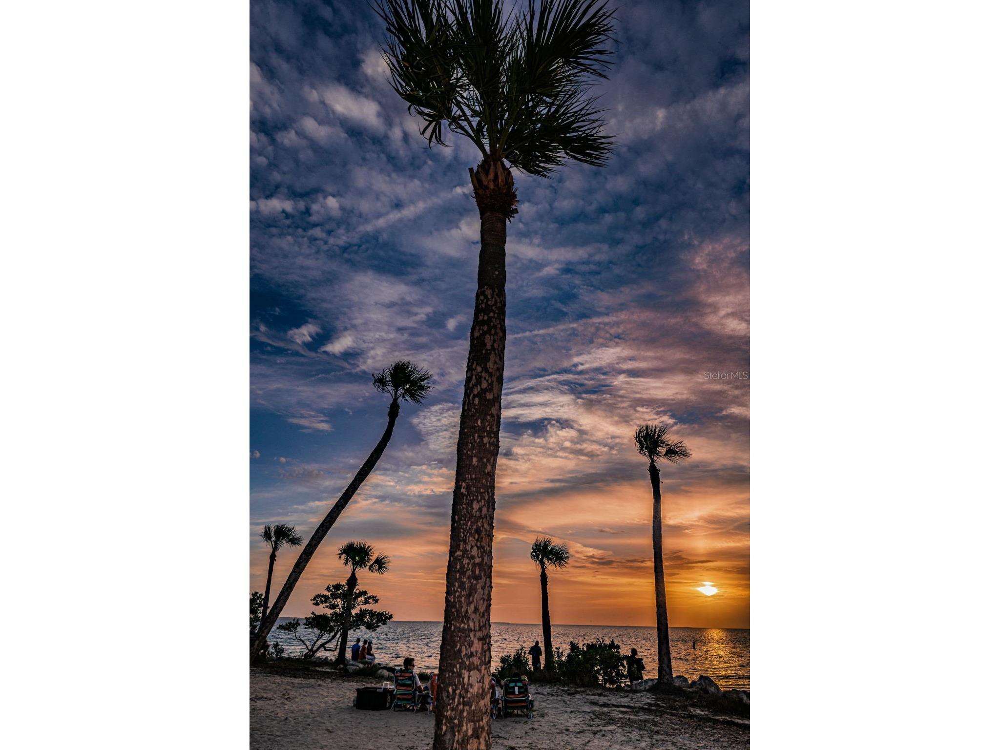 Grosse Avenue Tarpon Springs FL 34689 TB8492360 image57