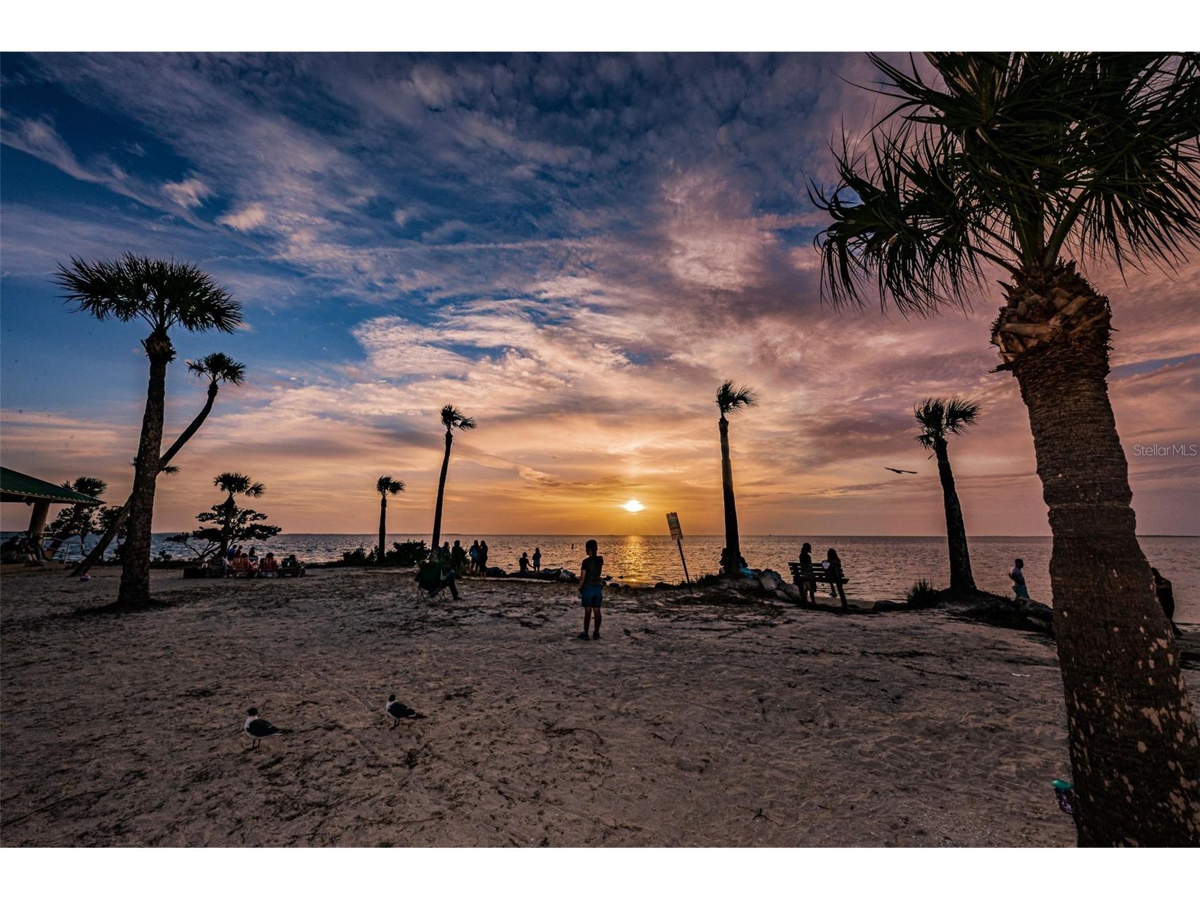 Grosse Avenue Tarpon Springs FL 34689 TB8492360 image59