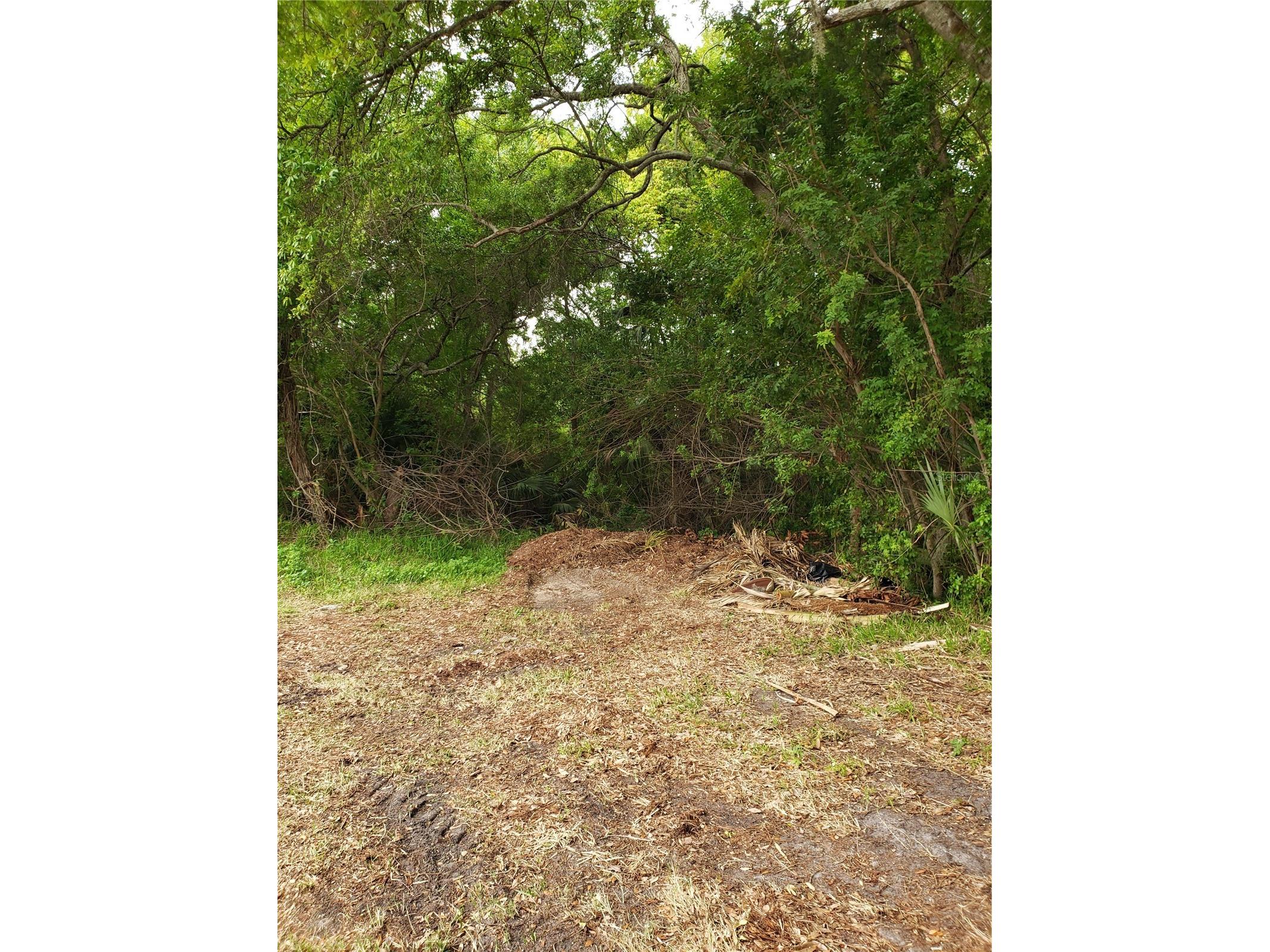 Grosse Avenue Tarpon Springs FL 34689 TB8492360 image6