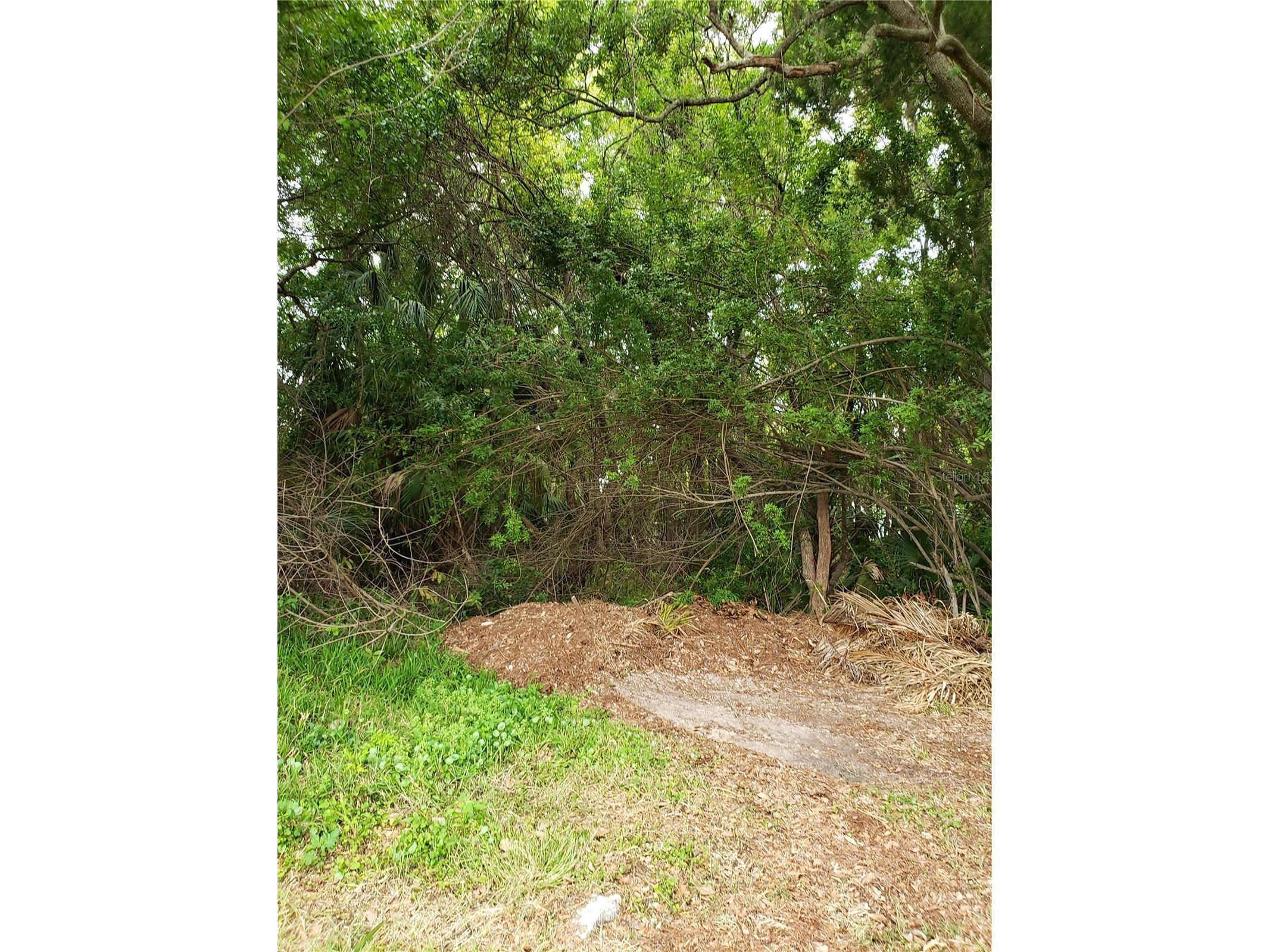 Grosse Avenue Tarpon Springs FL 34689 TB8492360 image7